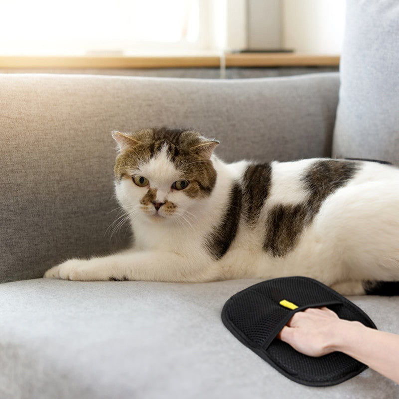 Pet hair removal grooming glove for fabric surface cleanup
