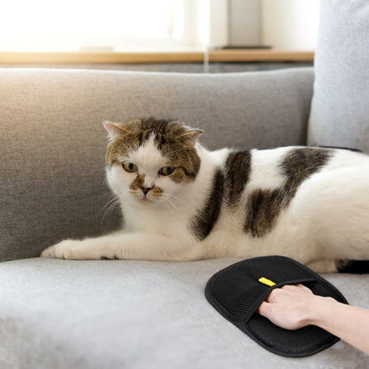 Pet hair removal grooming glove for fabric surface cleanup