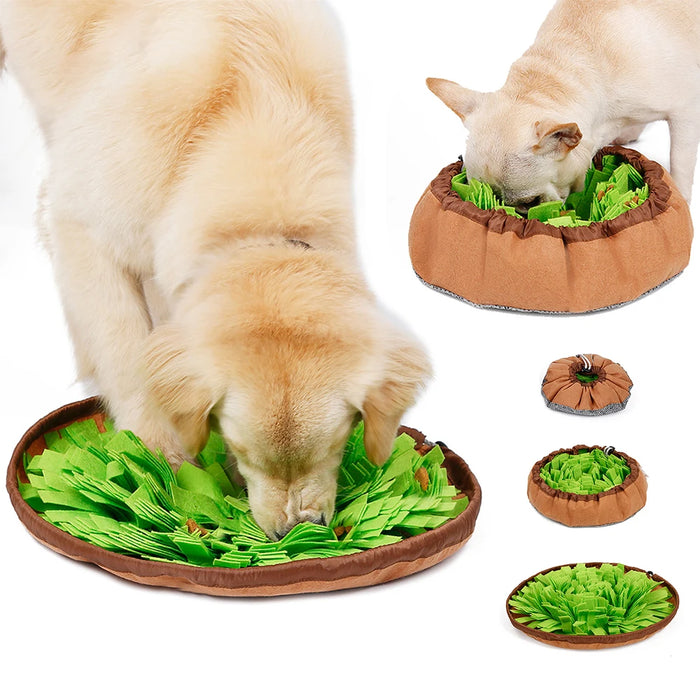 Interactive Snuffle Mat for Dogs | Washable Treat & Nosework Puzzle Mat