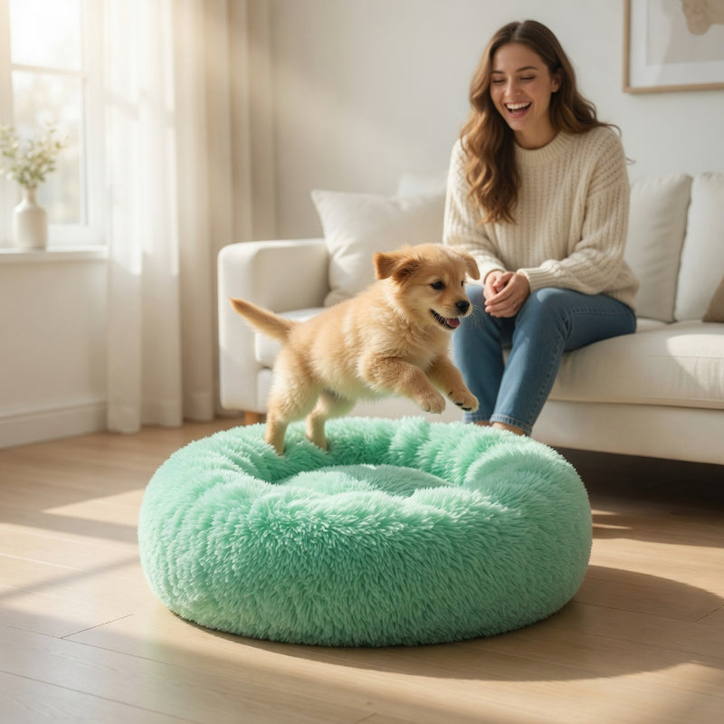 Five calming colors